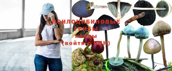 стафф Красноперекопск