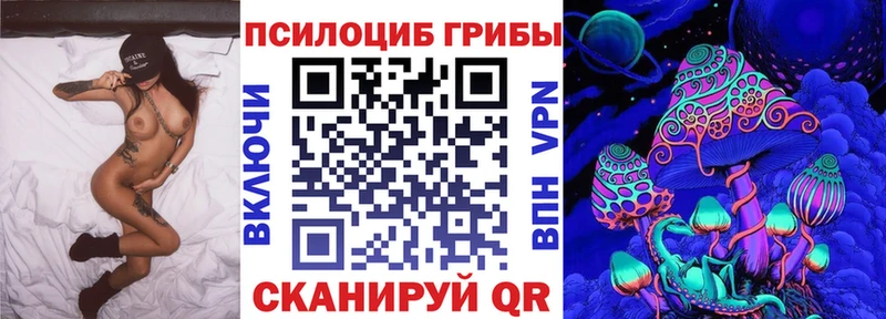 Купить закладки  Бирюч  Псилоцибиновые грибы MAGIC MUSHROOMS 