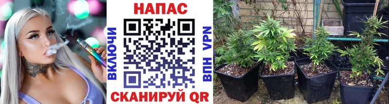 Купить  Бирюч  Конопля ГИДРОПОН 